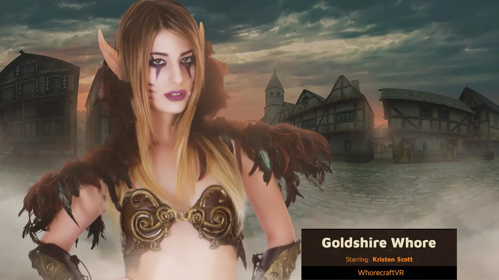 Free 8K VR adult video Night Elf Prostitution: Selling Intimacy in Goldshire