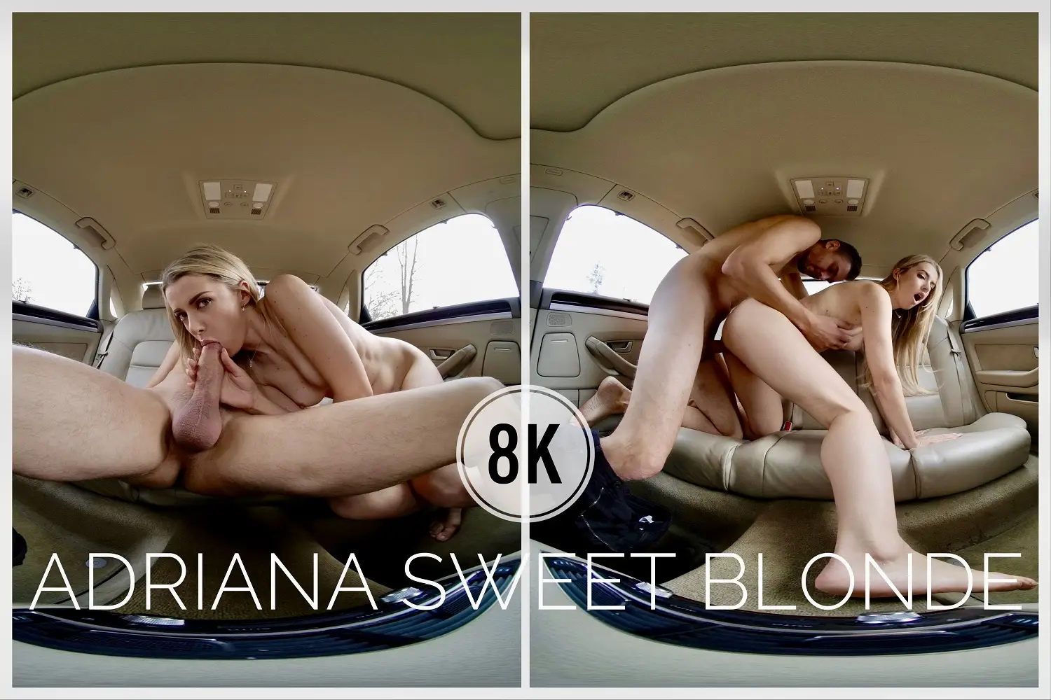 Free 8K VR adult video Intimate Moment: Adriana in the Car