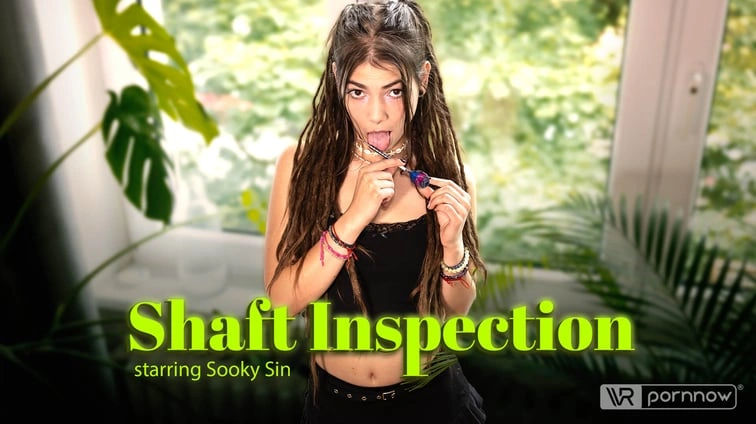 Free 8K VR adult video Shaft Inspection Starring Sooky Sin