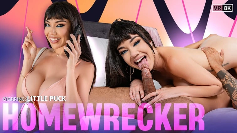 Free 8K VR adult video Homewrecker