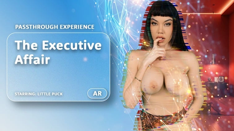 Free 8K VR adult video The Executive Affair Passthrough